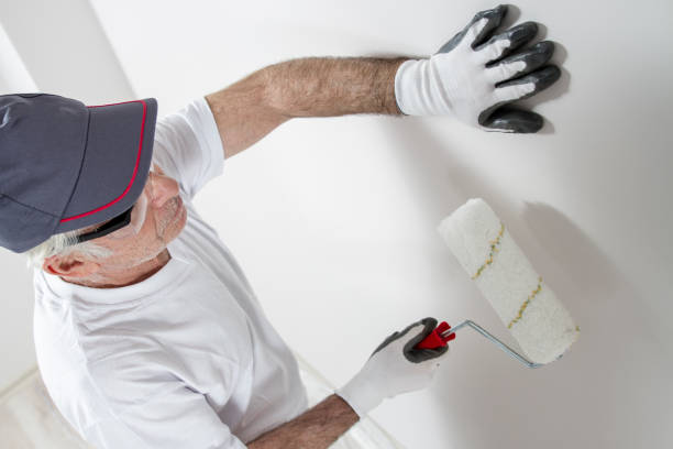 Best Commercial Mold Inspection  in Lake Magdalene, FL