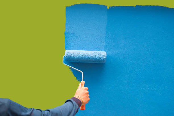 Professional Mold Removal in Lake Magdalene, FL